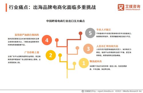 2023年中國(guó)品牌電商服務(wù)行業(yè)深度解析 信息咨詢服務(wù)的價(jià)值重塑與增長(zhǎng)路徑