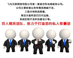 淘寶代運(yùn)營(yíng)模式解析 飛鳥(niǎo)互聯(lián)如何通過(guò)在線咨詢提供專業(yè)信息咨詢服務(wù)